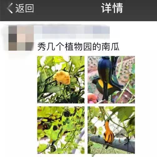 天呐！镇海将拥有宁波最大草坪？还将建宁波唯一
