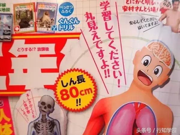 小学生杂志的附录太厉害了，一个手滑买了12本