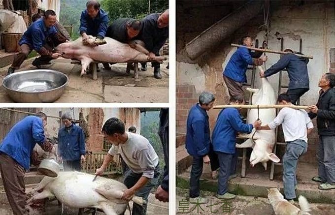 古蔺腊肉热漤里的科学