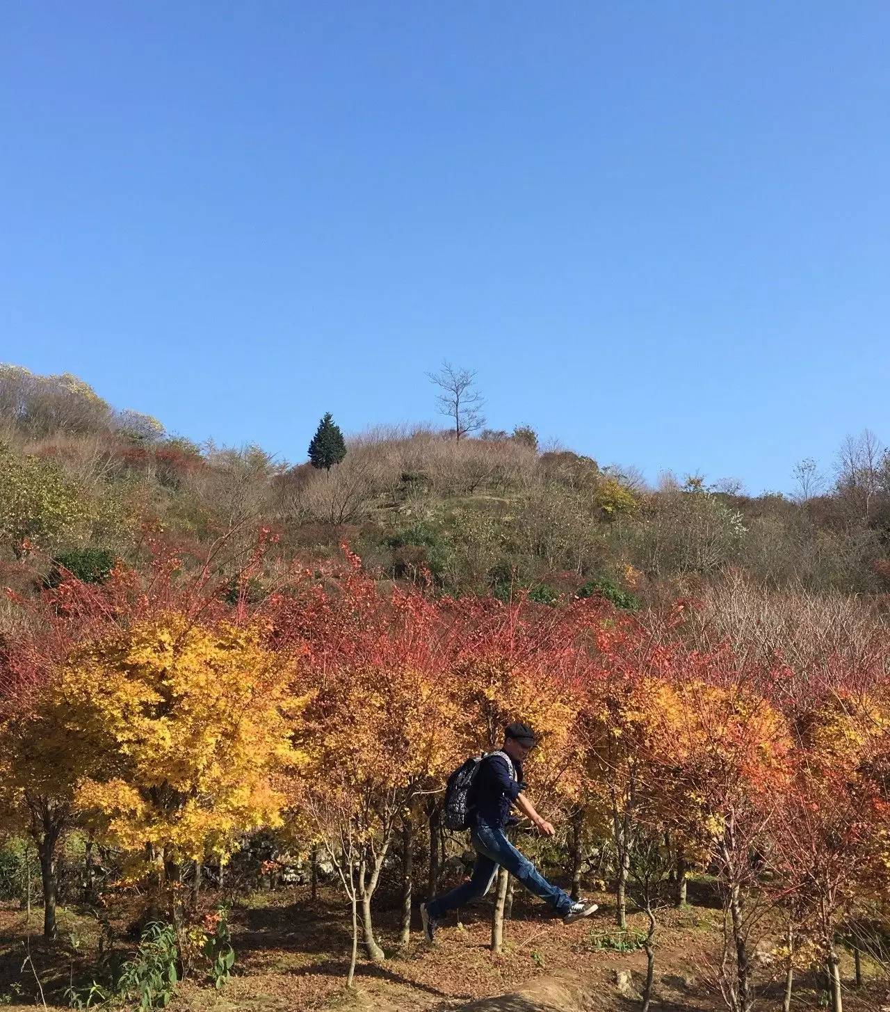 奉化溪口镇栖霞古道,宁波奉化旅游攻略完整版