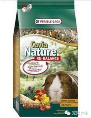 看看那些年我们一起追过的荷兰猪猪粮（下）