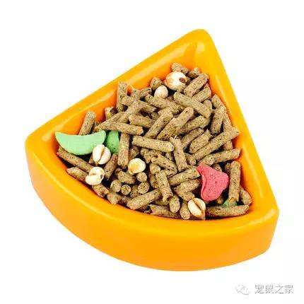 看看那些年我们一起追过的荷兰猪猪粮（下）