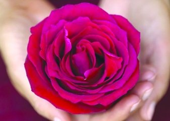 利普刀锥切后大出血的原因,利普刀手术后宫颈疼