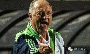 路易斯菲利佩斯科拉里年轻,大菲尔和卡佩罗谁厉害