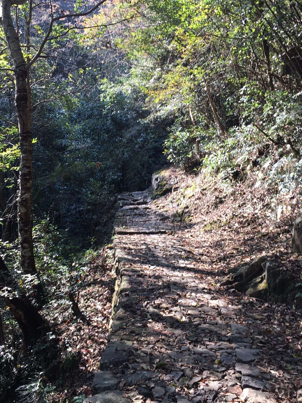 奉化溪口镇栖霞古道,宁波奉化旅游攻略完整版