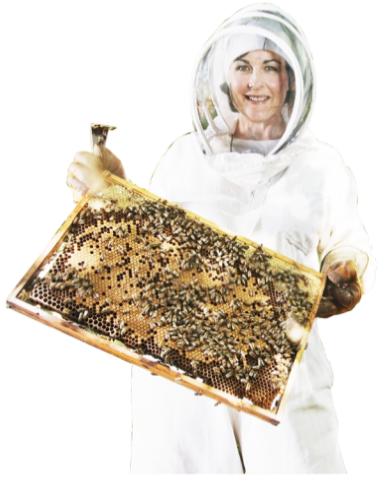 正品蜂胶真假鉴别,京东卖的蜂胶是真的吗