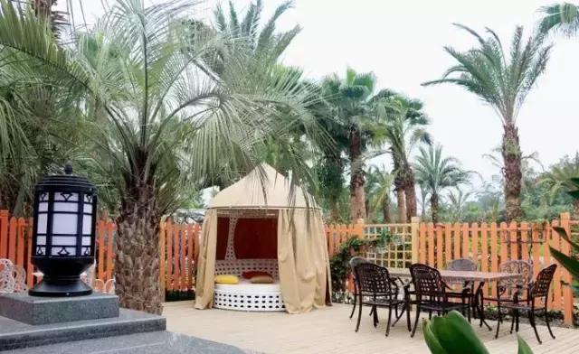 四川房车自驾游营地,四川自驾房车露营