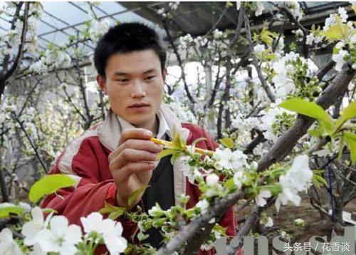 农村冷门小本创业生意,最有前景的10个农村创业点子