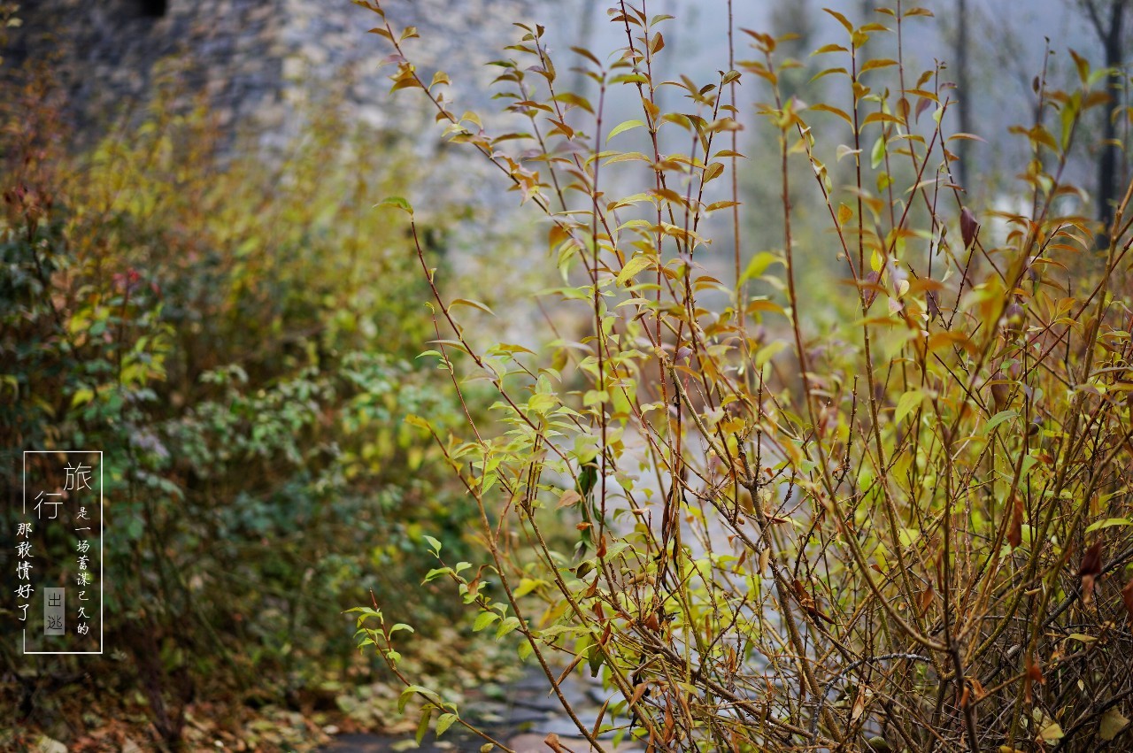 古北水镇的江南情怀,北国江南的韵味古北水镇