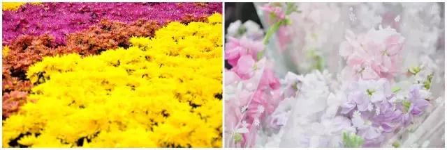 成都自驾曼谷,成都到曼谷机票