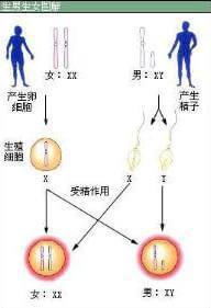 ella生儿子了吗,ella自曝生孩子经历微博