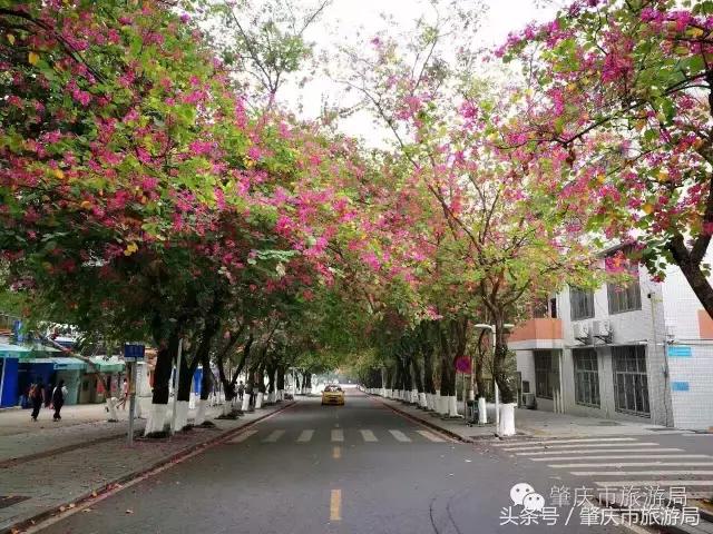 西大下了一场雨，美翻了整个肇庆！