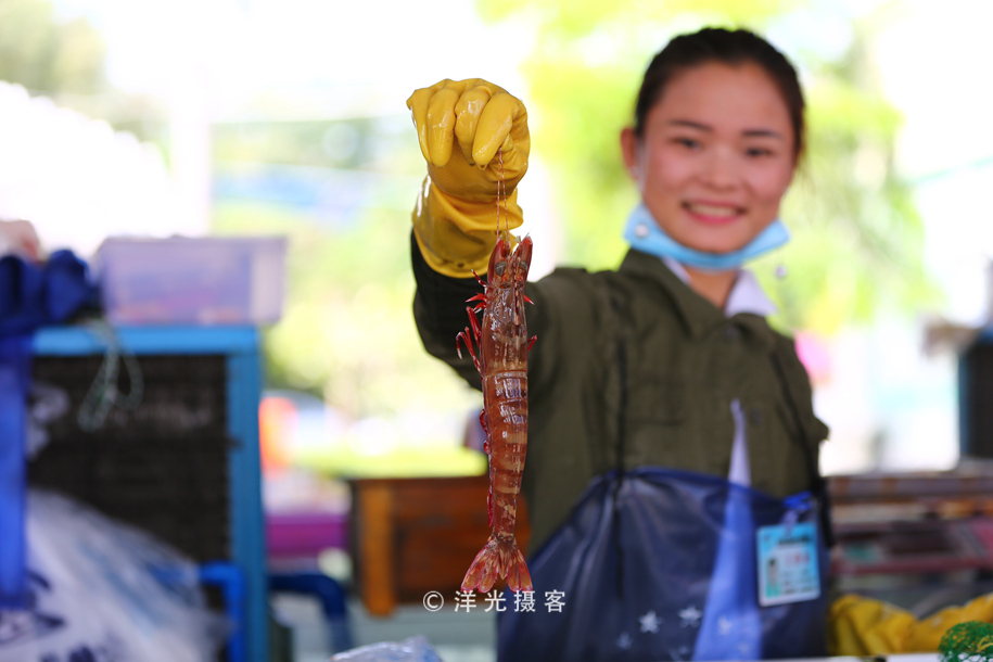 现在的三亚海鲜市场,海鲜市场发现什么东西