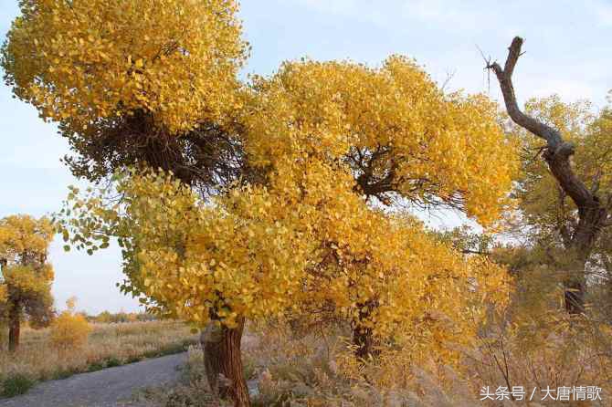 骑行日记无人区,骑行日记视频