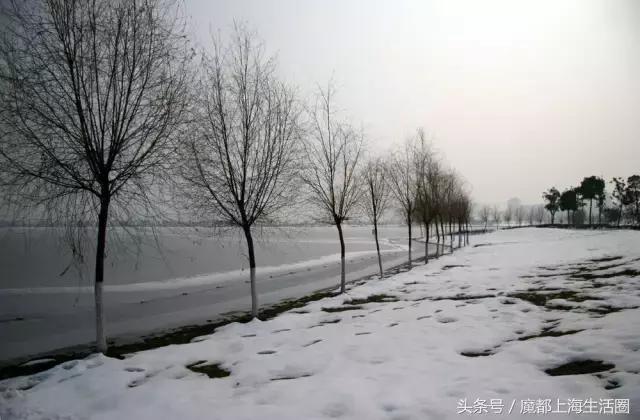 合肥哪下雪了,合肥一定要下雪吗