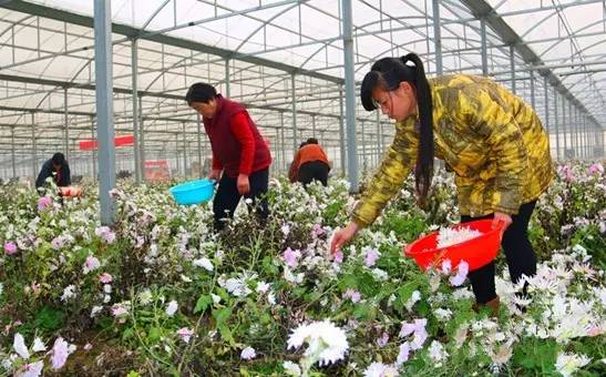 天冷了再不挣钱,天冷了挣钱不易