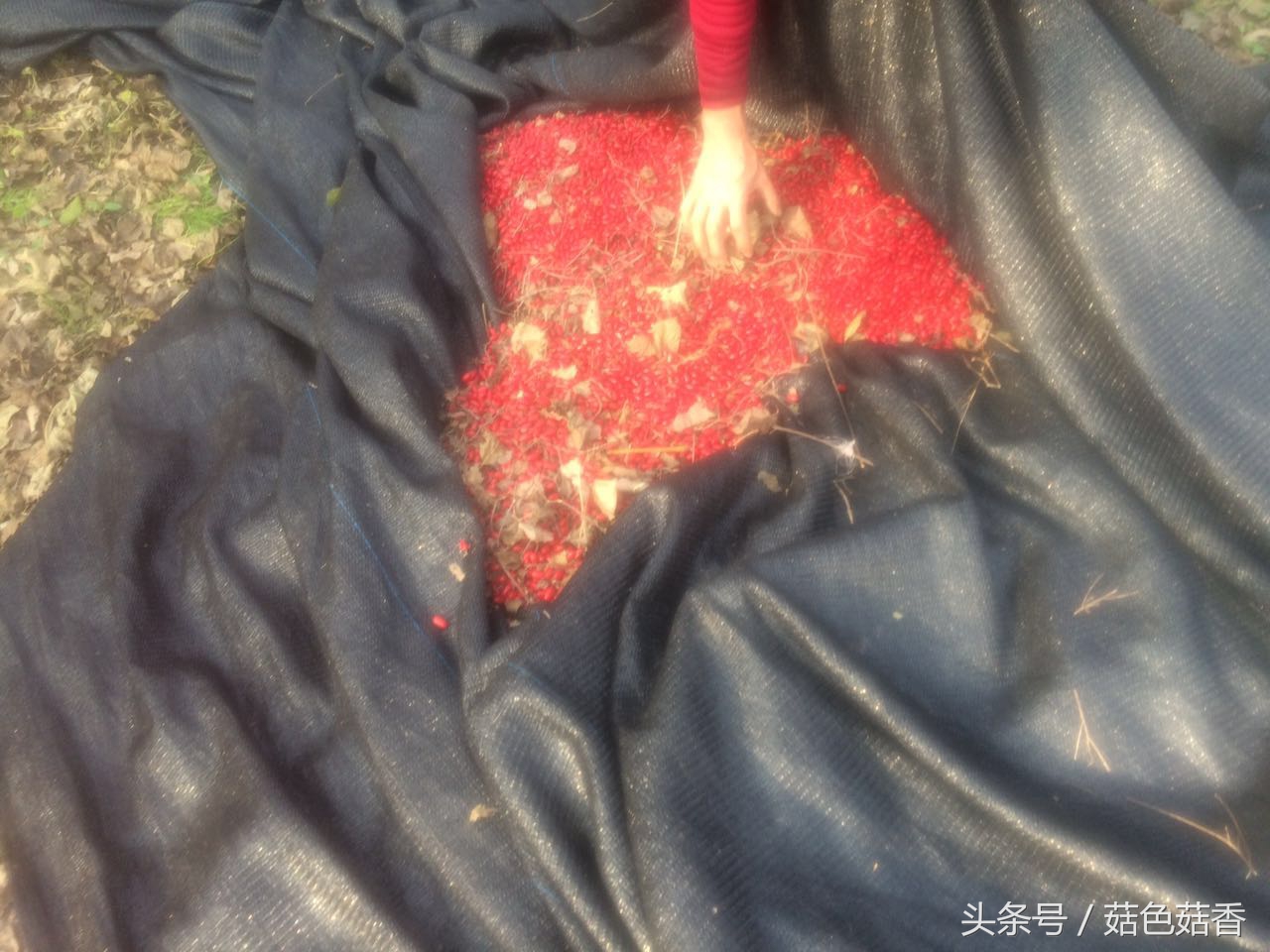 冲击钻三个功能各有什么用,冲击钻作用有哪些