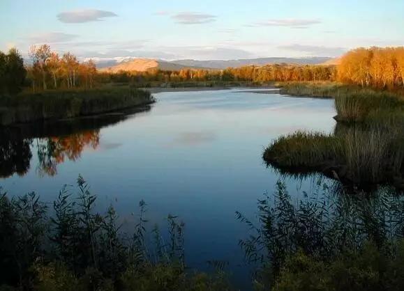 初学者最笨最好用的钓鱼方法,老钓手教你一招超受用