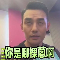 王凯靖王帅气,王凯王鸥表情包