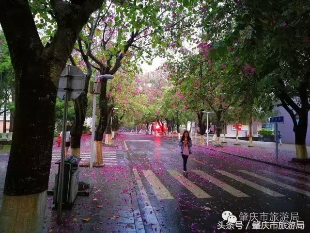 西大下了一场雨，美翻了整个肇庆！