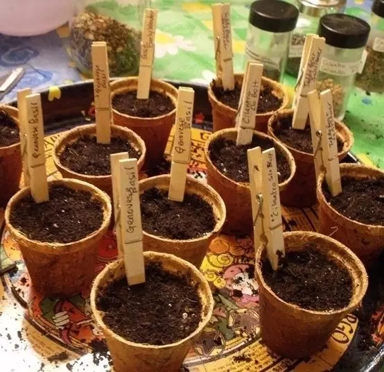 晾衣夹各种用法,晾衣夹的用法