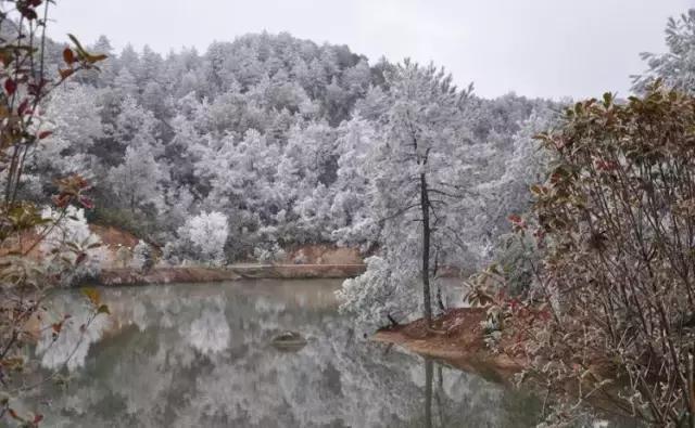 从厦门出发去旅游哪里便宜,到厦门玩5天需要多少钱