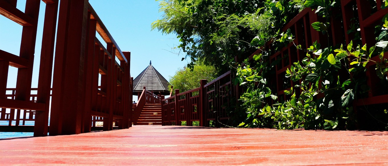 说走就走的三亚行,一场说走就走的三亚之旅