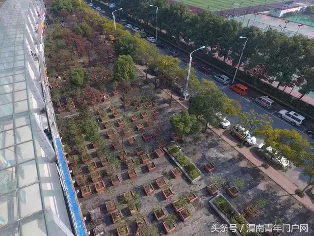 渭南新闻发布,渭南今日新闻联播