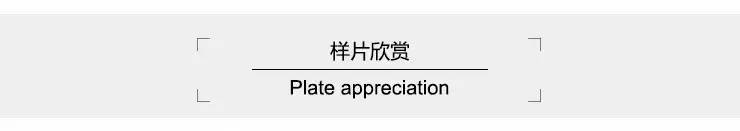 徕卡德国,徕卡sltyp601新手入门教程