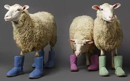 陈乔恩跟袁姗姗,陈乔恩和袁姗姗