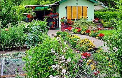 农村冷门小本创业生意,最有前景的10个农村创业点子