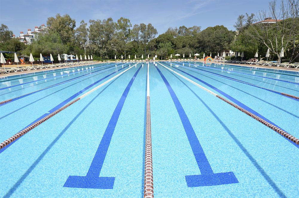 西安冬泳,看西安十大旅游景点的感受