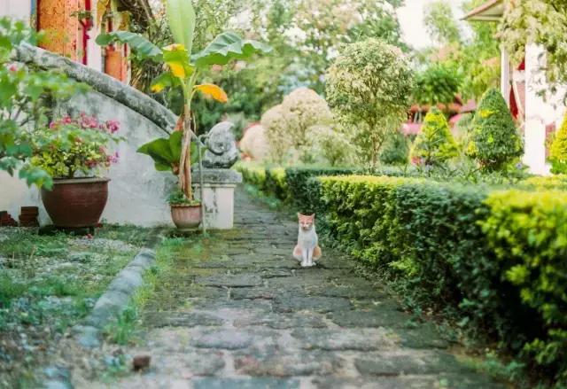 成都自驾曼谷,成都到曼谷机票