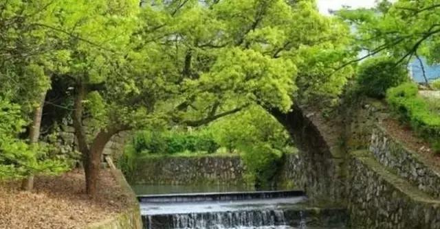 宁波东钱湖殷湾渔火民宿,浙江省宁波民宿十大排名