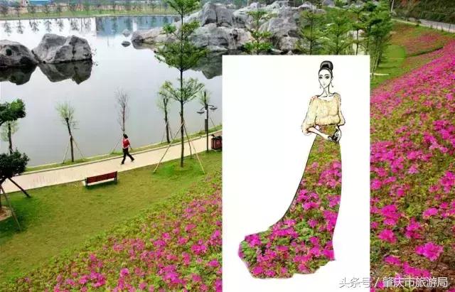 西大下了一场雨，美翻了整个肇庆！