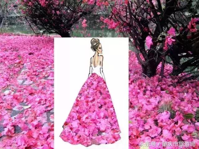 西大下了一场雨，美翻了整个肇庆！