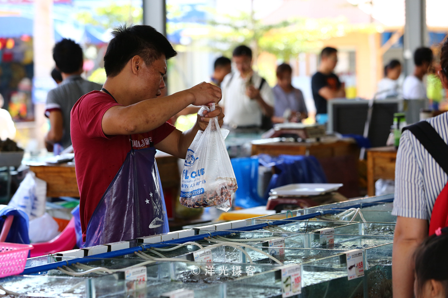 现在的三亚海鲜市场,海鲜市场发现什么东西