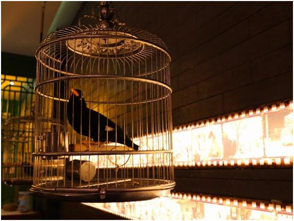 絮絮叨叨北京话怎么说,絮絮叨叨话北京