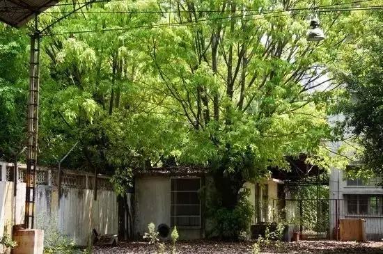 从卷烟厂到文艺空间，时隔33年再次成为厦门的潮流地标！