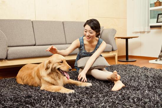 对宠物无害好养的植物,宠物中毒自救小常识