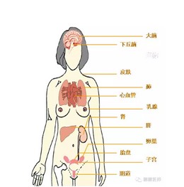 用温情滋润你到老---雌激素与女人