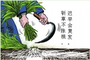 宫颈息肉要不要切除会不会变癌,怀孕宫颈息肉会流浅红色分泌物