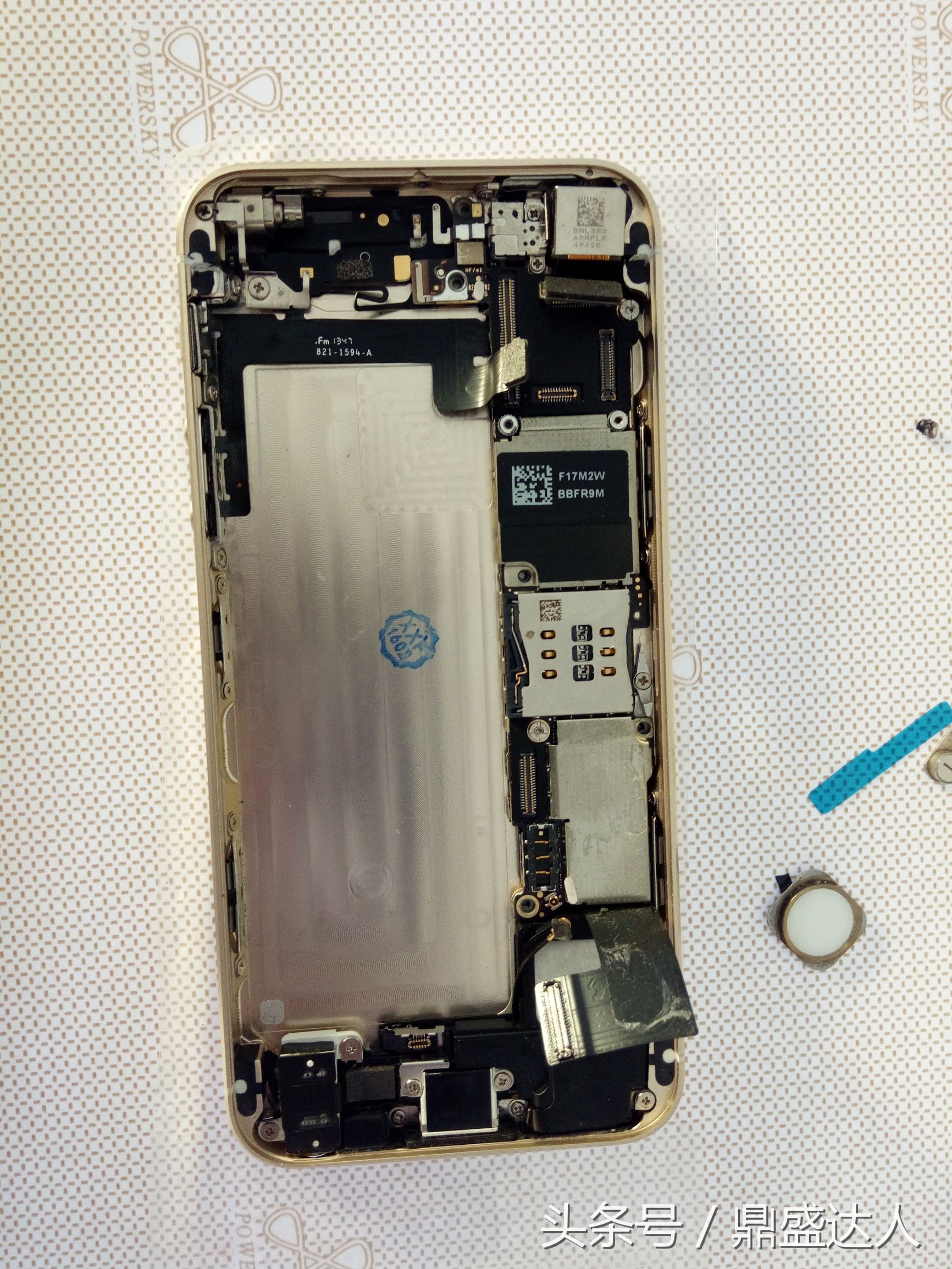 苹果5s拆机换扬声器,5s拆机换壳教程