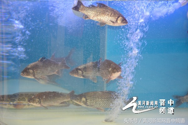 榆次沃尔玛超市最新消息,榆次沃尔玛今天营业时间