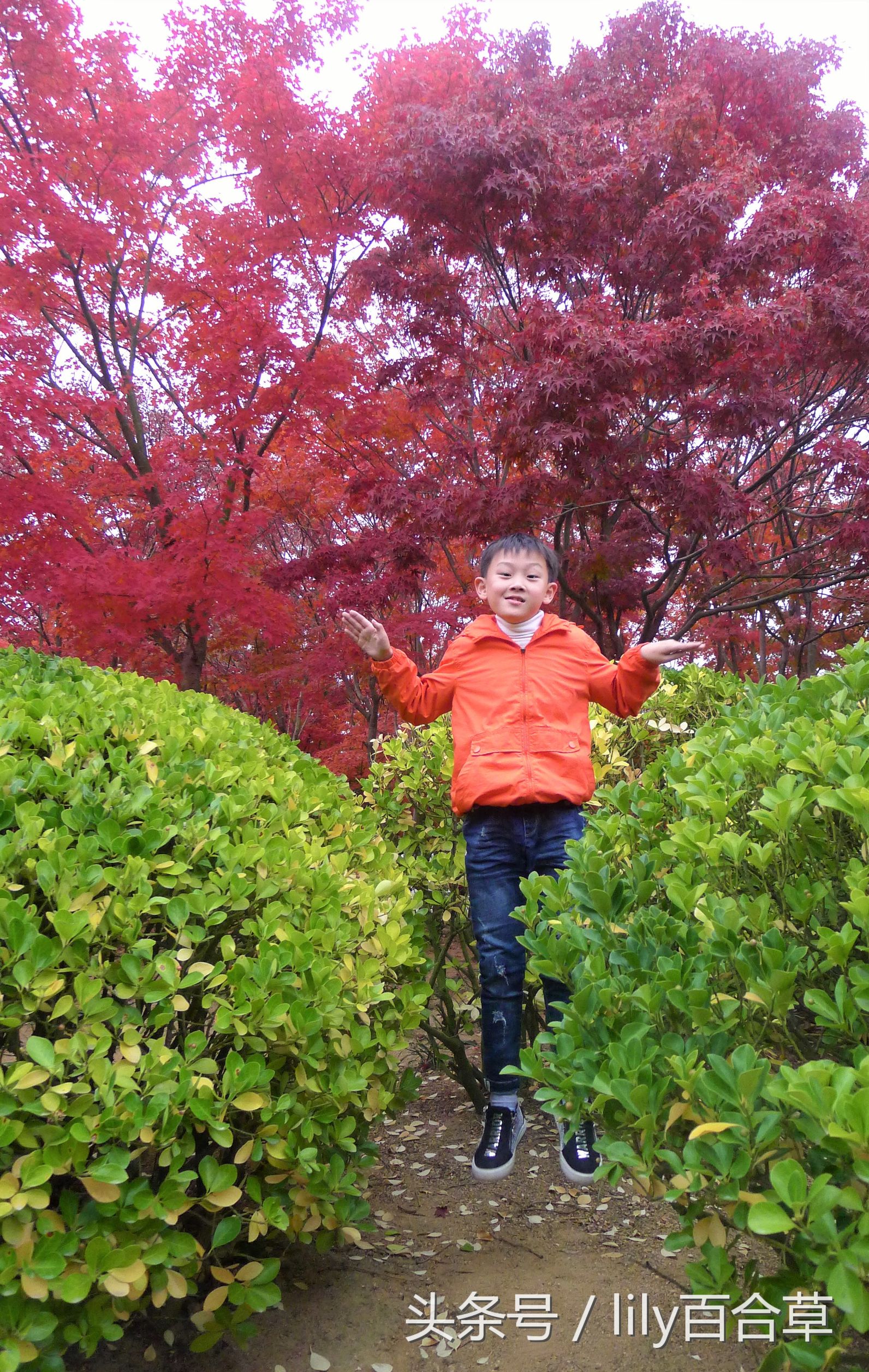 鬼马少年完整版,鬼马少年系列