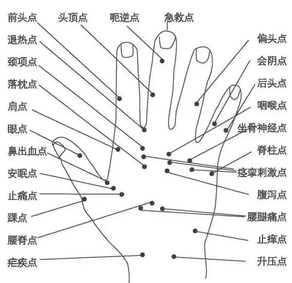 人体全息图集锦留着超级有用,人体部位全息图和反射图pdf