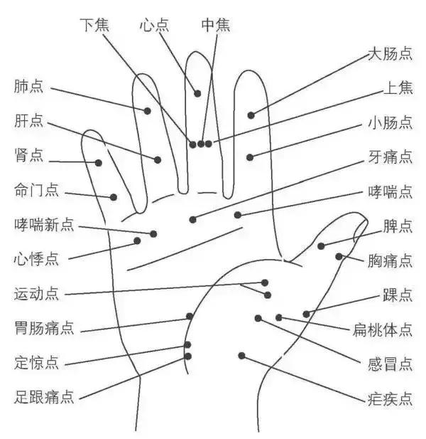 人体全息图集锦留着超级有用,人体部位全息图和反射图pdf