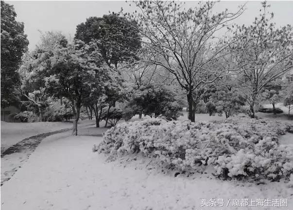 合肥哪下雪了,合肥一定要下雪吗