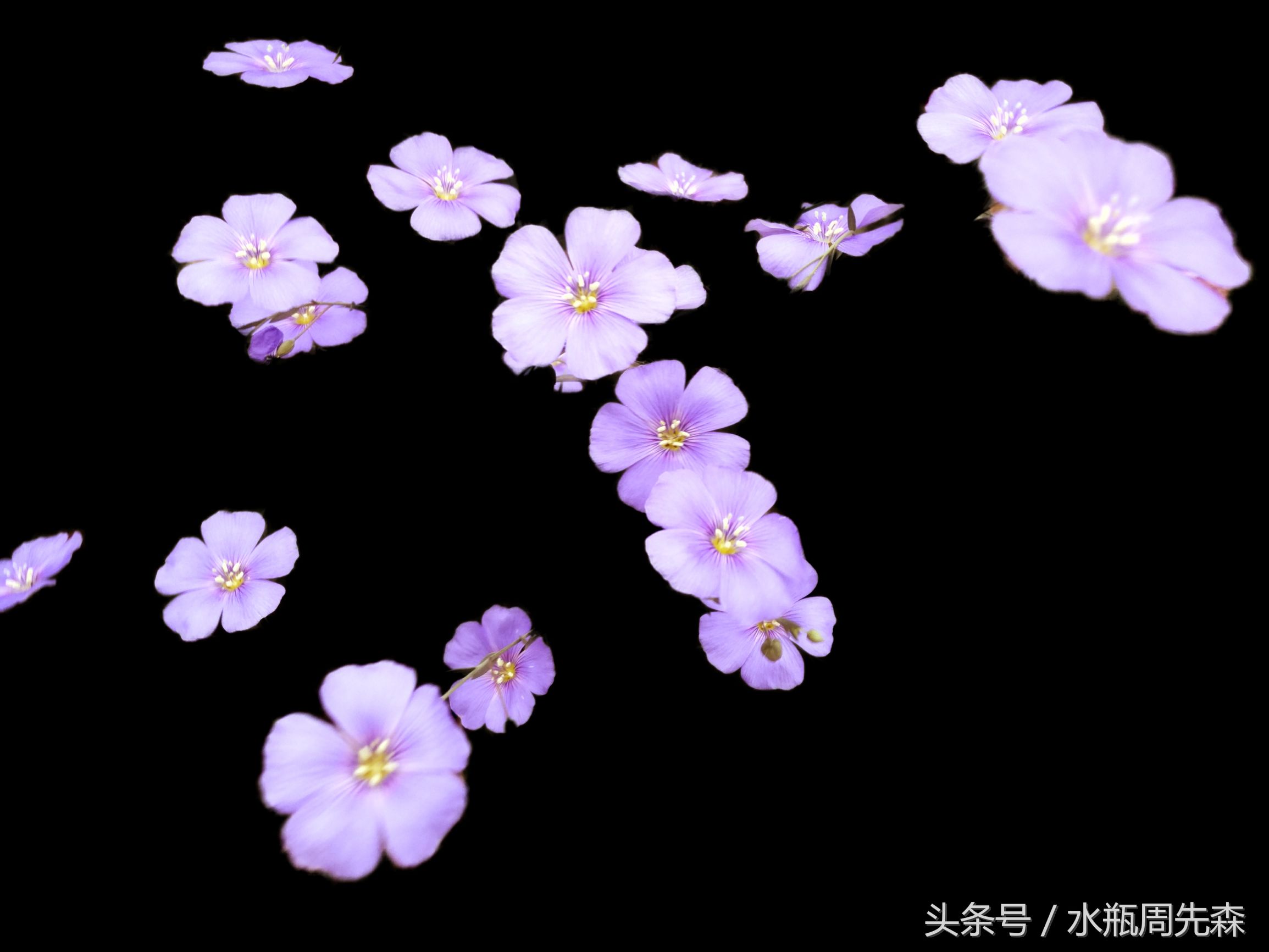 显得高大上的手机锁屏壁纸,高大上最美曲屏手机壁纸