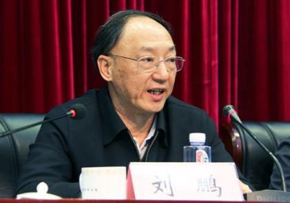 刘鹏向体育总局报到,刘鹏国家体育总局重庆